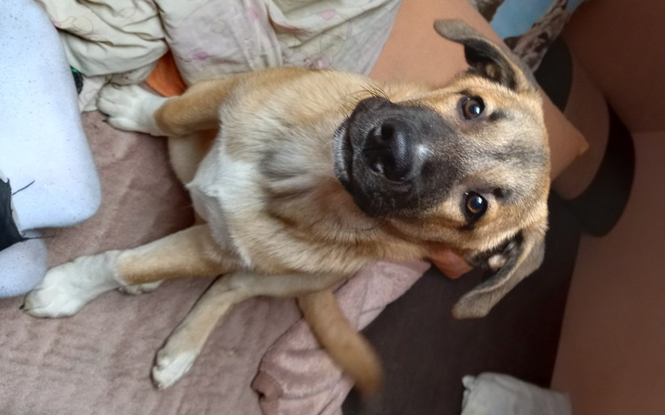 Zbiórka Pomoc w leczeniu ciężkiej chorob - zdjęcie główne