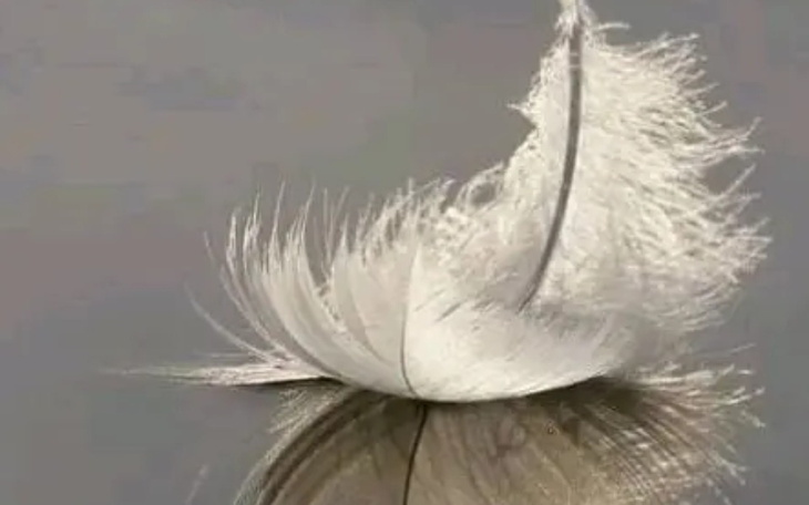 Zbiórka Zbieram na zapłatę prądu żywność - zdjęcie główne