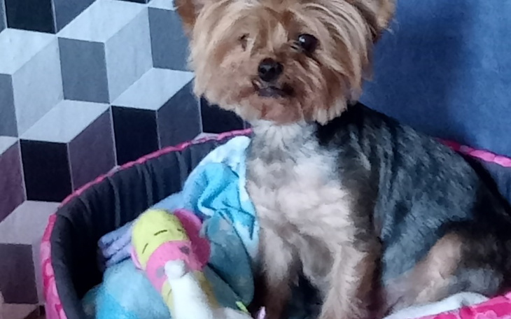 Zbiórka OPERACJA ratująca zycie - zdjęcie główne