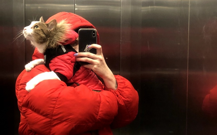 Zbiórka Pomóż nam zatrzymać mieszkanie. - zdjęcie główne