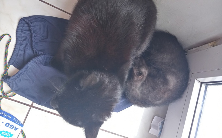 Zbiórka Na zycie 32 - zdjęcie główne