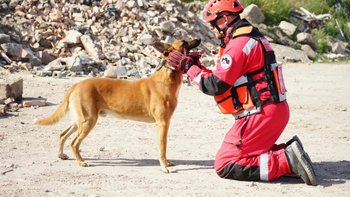 Zbiórka Zbieramy na operację dla Juliana - miniaturka zdjęcia