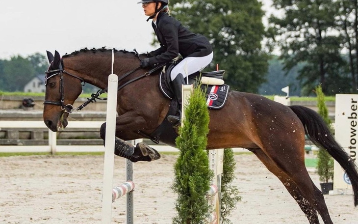 Zbiórka Rozwój pasji - jezdziectwo - zdjęcie główne