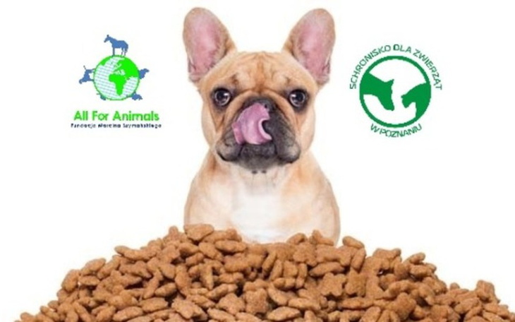 Zbiórka Tona karmy dla Poznania! - zdjęcie główne