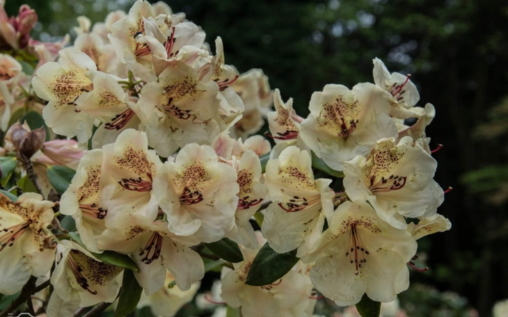 Zbiórka Pomoc psychiatryczna - zdjęcie główne