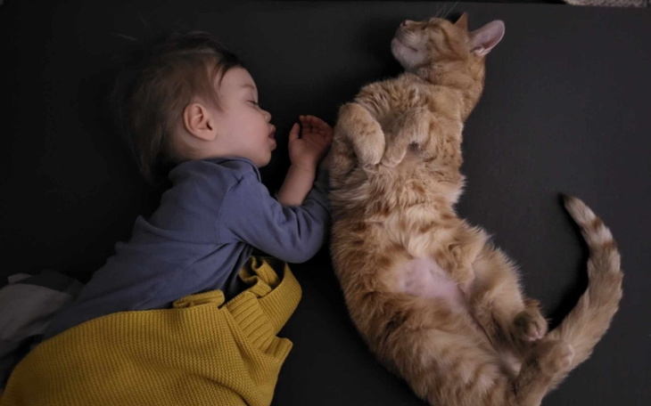 Dziecko śpiące obok pomarańczowego kota na czarnym tle.