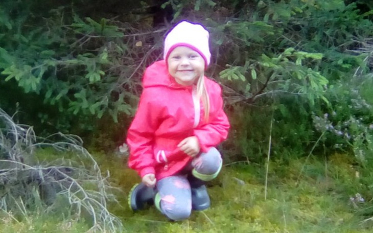 Zbiórka Fundacja tara schroniska dla kon - zdjęcie główne