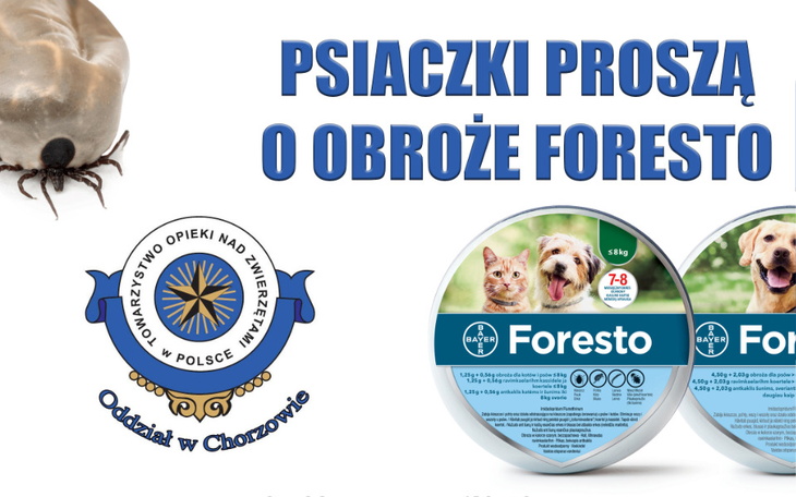 Zbiórka Foresto dla psiaków z Chorzowa - zdjęcie główne