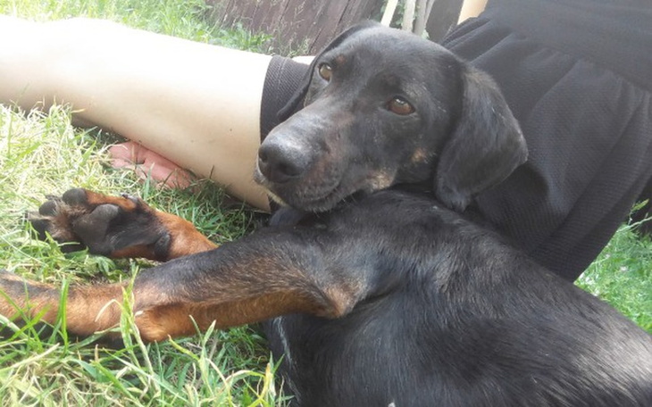 Zbiórka "Chcę znowu biegać za piłką" - zdjęcie główne