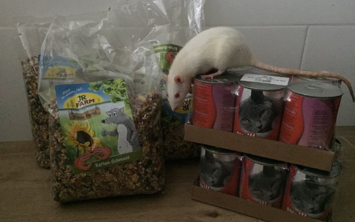 Zbiórka 101 ogonków potrzebuje jedzenia - zdjęcie główne