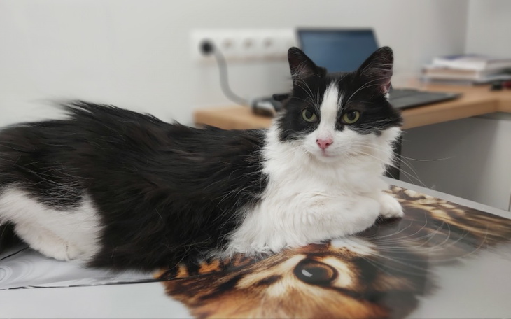 Zbiórka Diagnostyka i leczenie Karolinki - zdjęcie główne