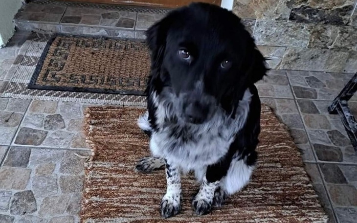 Zbiórka Tyle brakuje na transport - zdjęcie główne