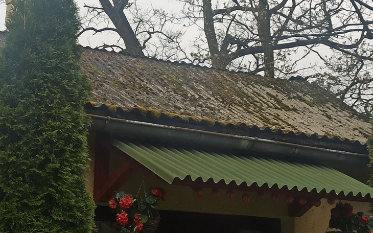 Zbiórka Remont zadaszenia - zdjęcie główne