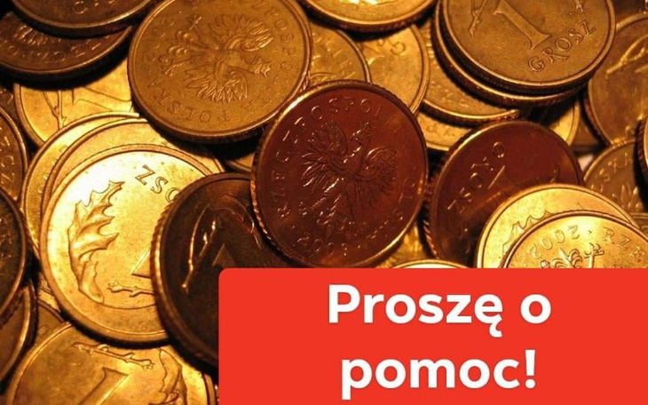 Zbiórka Pilnie potrzebuje pomocy. - zdjęcie główne