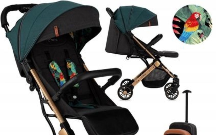 Zbiórka Skradziony wózek - zdjęcie główne