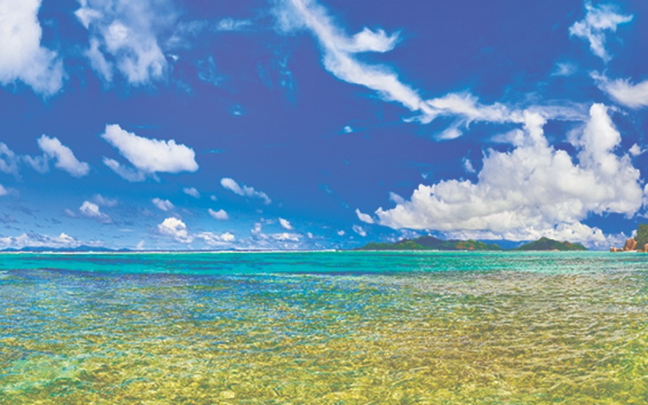 Zbiórka Oddajemy dobro - zdjęcie główne