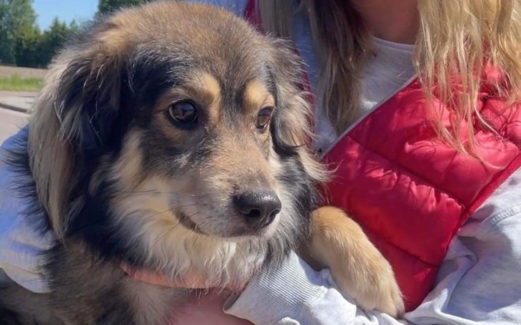 Zbiórka śpię na polu.. pomożesz mi - zdjęcie główne