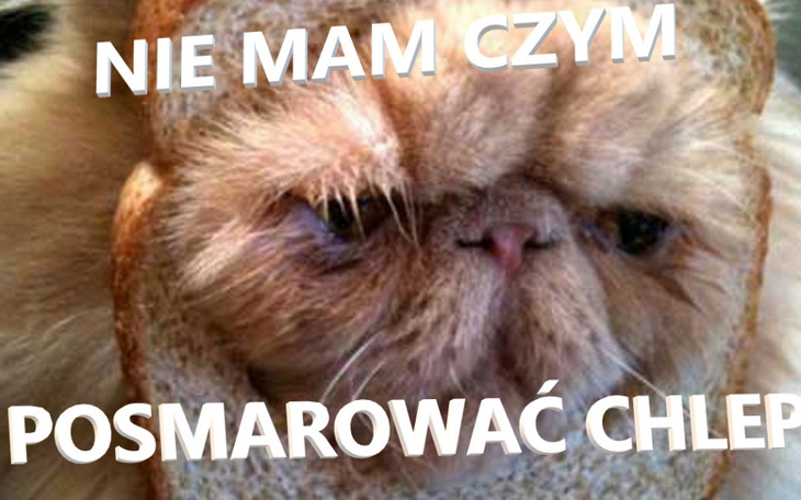 Zbiórka Na czynsz i przetrwanie - zdjęcie główne