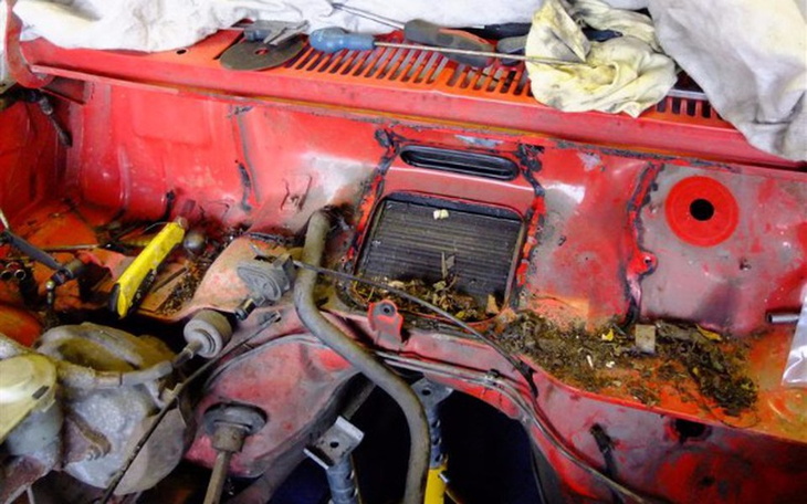 Zbiórka Uratować Kadetta - zdjęcie główne