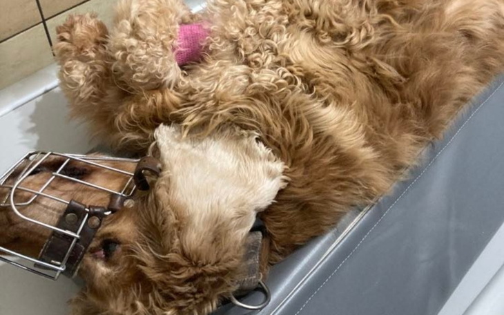 Zbiórka Mam tylko kilka godzin - zdjęcie główne