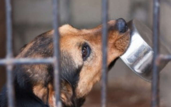 Zbiórka Do karmy dobiegam w pięć sekund - zdjęcie główne
