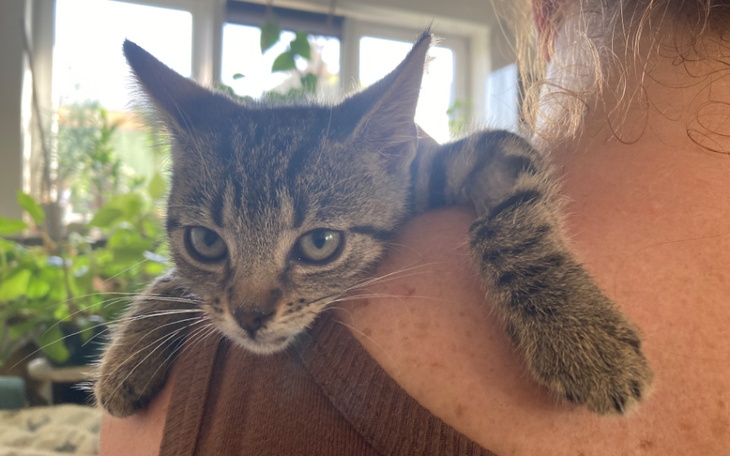 Zbiórka Uratujmy Ryśka - zdjęcie główne