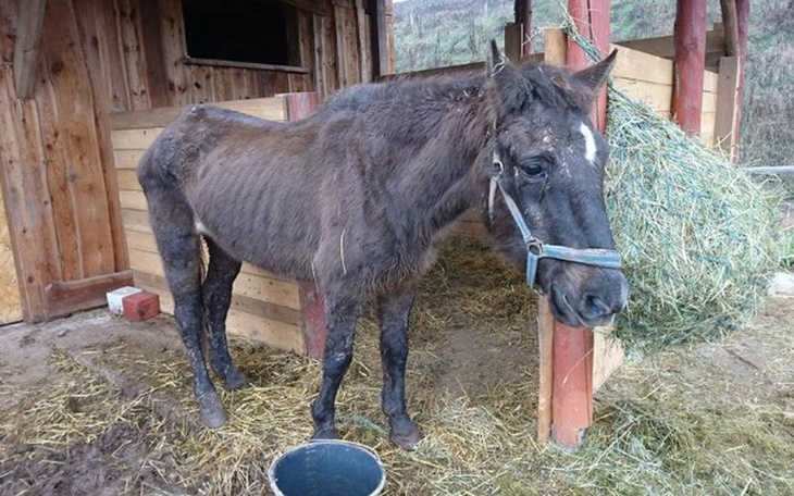 Zbiórka W drodze po życie.... - zdjęcie główne