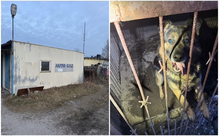 Zabytkowy budynek warsztatu samochodowego w Polsce.