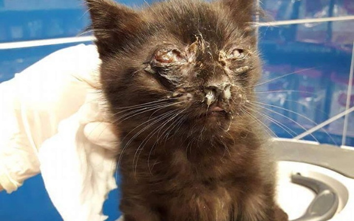 Zbiórka Chcę żyć...Pomóż mi - zdjęcie główne