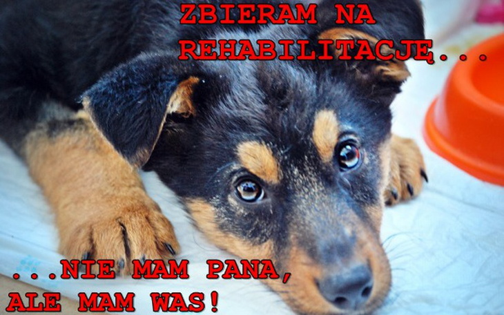 Zbiórka Czy złamany kręgosłup to wyrok? - zdjęcie główne