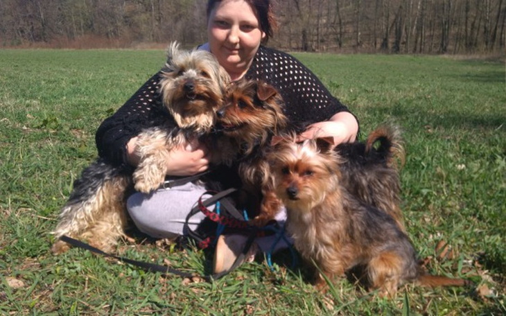 Zbiórka Zaniedbane Yorki - zdjęcie główne