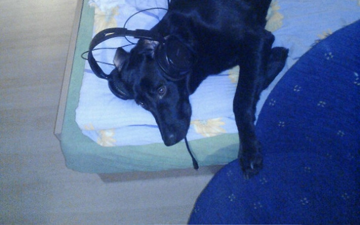 Zbiórka Leczenie Luny - zdjęcie główne