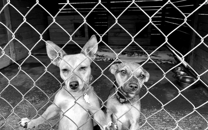 Zbiórka Podaruj wiaderko ciepła na zimę - zdjęcie główne