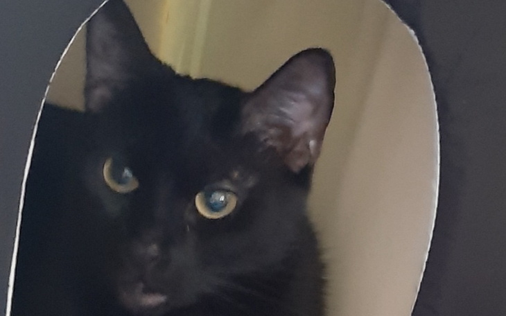 Zbiórka Ratunek przed zostaniem bezdomny - zdjęcie główne