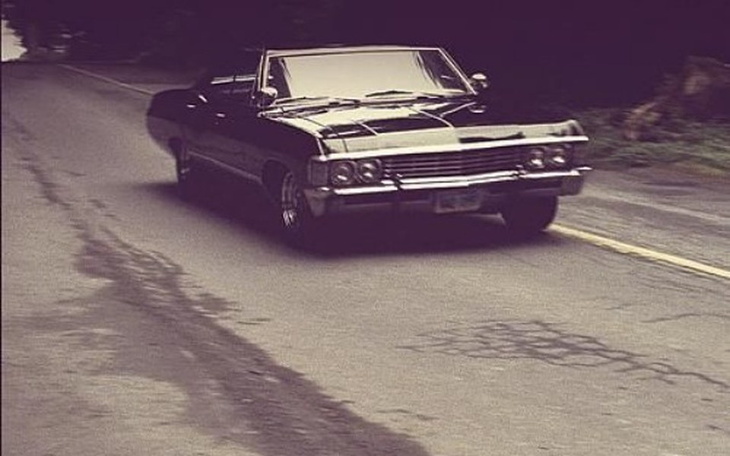 Zbiórka Wolność - zdjęcie główne