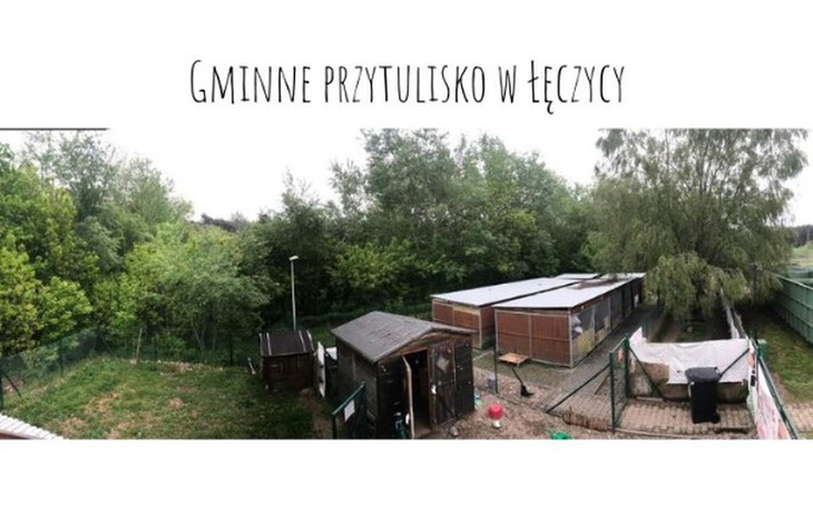 Zbiórka Odnowa przytuliska fundacyjnego - zdjęcie główne