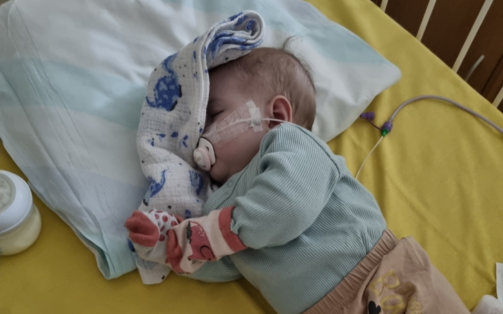 Kociak w bieli został sfotografowany na białej podkładce.