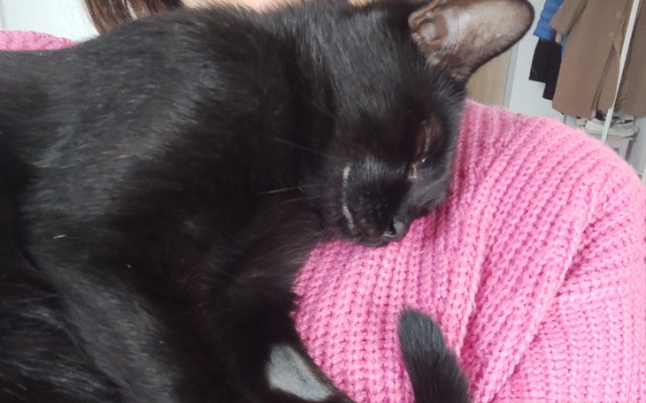 Czarny kot śpiący na ramieniu właściciela.