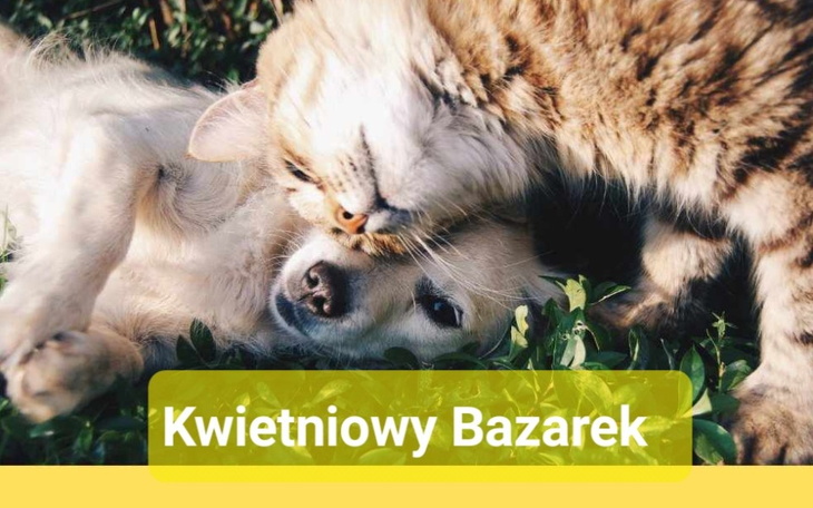 Zbiórka Kwietniowy bazarek - zdjęcie główne