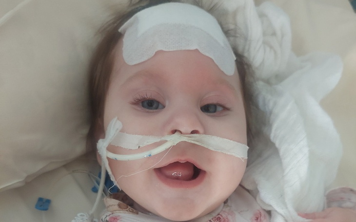 Zbiórka Ratujmy główkę Niny - zdjęcie główne