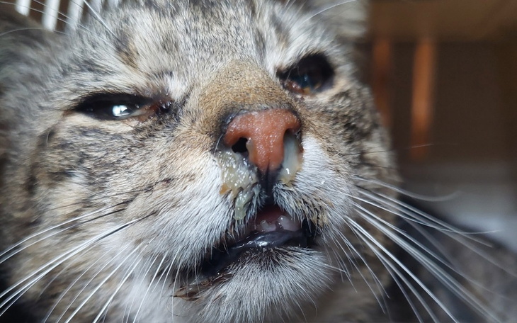 Zbiórka Abyśmy mogli dalej nieść pomoc - zdjęcie główne