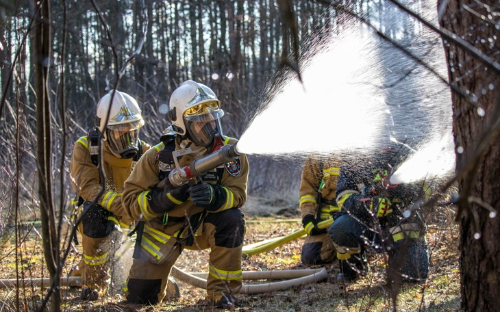 Strażacy gaszący pożar w lesie, używając węża.