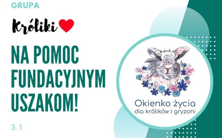 Zbiórka Grupa Króliki na pomoc królikom - zdjęcie główne