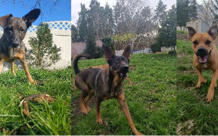 Zbiórka POMOCY Możemy stracić dom - zdjęcie główne