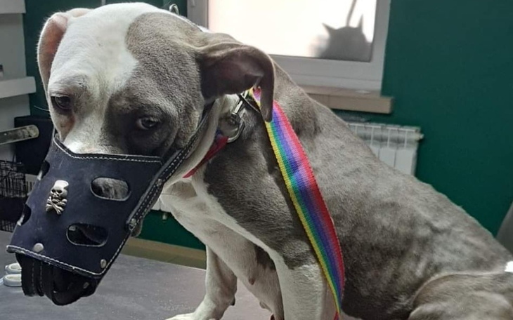 Zbiórka Szkielet z ulicy - zdjęcie główne