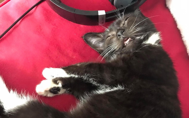 Zbiórka Walczymy o każdy oddech - zdjęcie główne