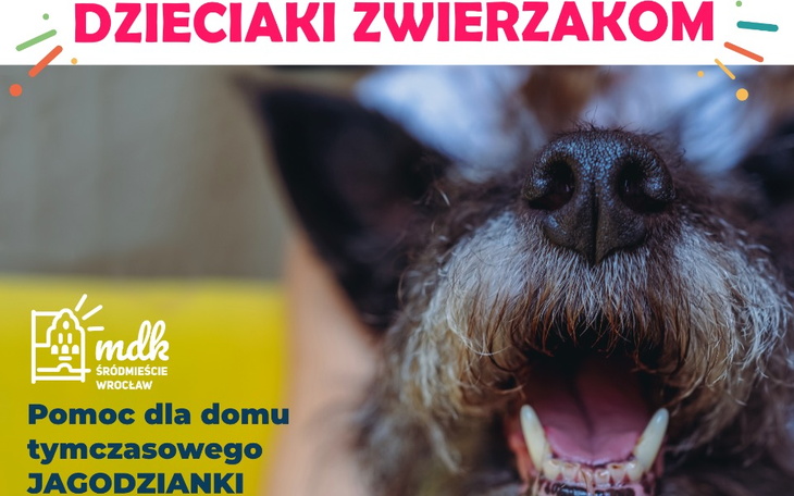 Zbiórka Dzieciaki Zwierzakom 2021 - zdjęcie główne