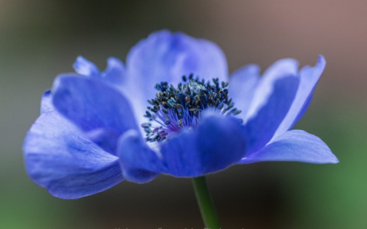 Zbiórka Operacja endometriozyy - zdjęcie główne