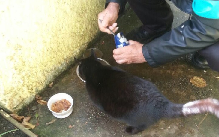 Zbiórka Na zimę dla bezdomnych zwierząt - zdjęcie główne