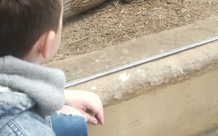 Zbiórka Remont ,wyposażenie pokoju dziec - zdjęcie główne